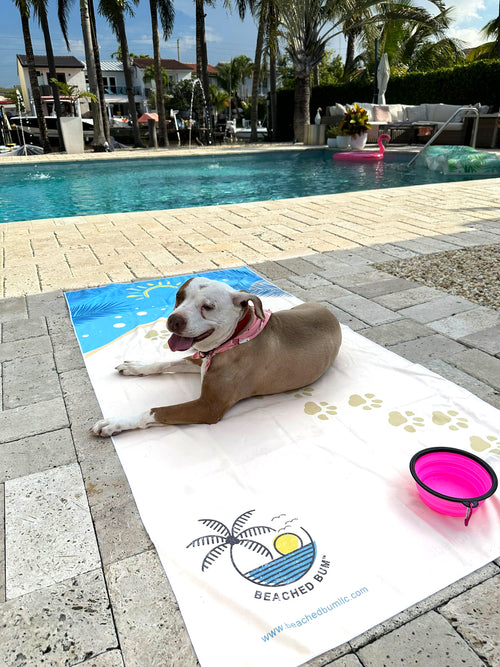 Sandy Paws Towel