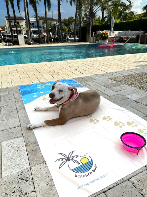 Doggie Life Towel
